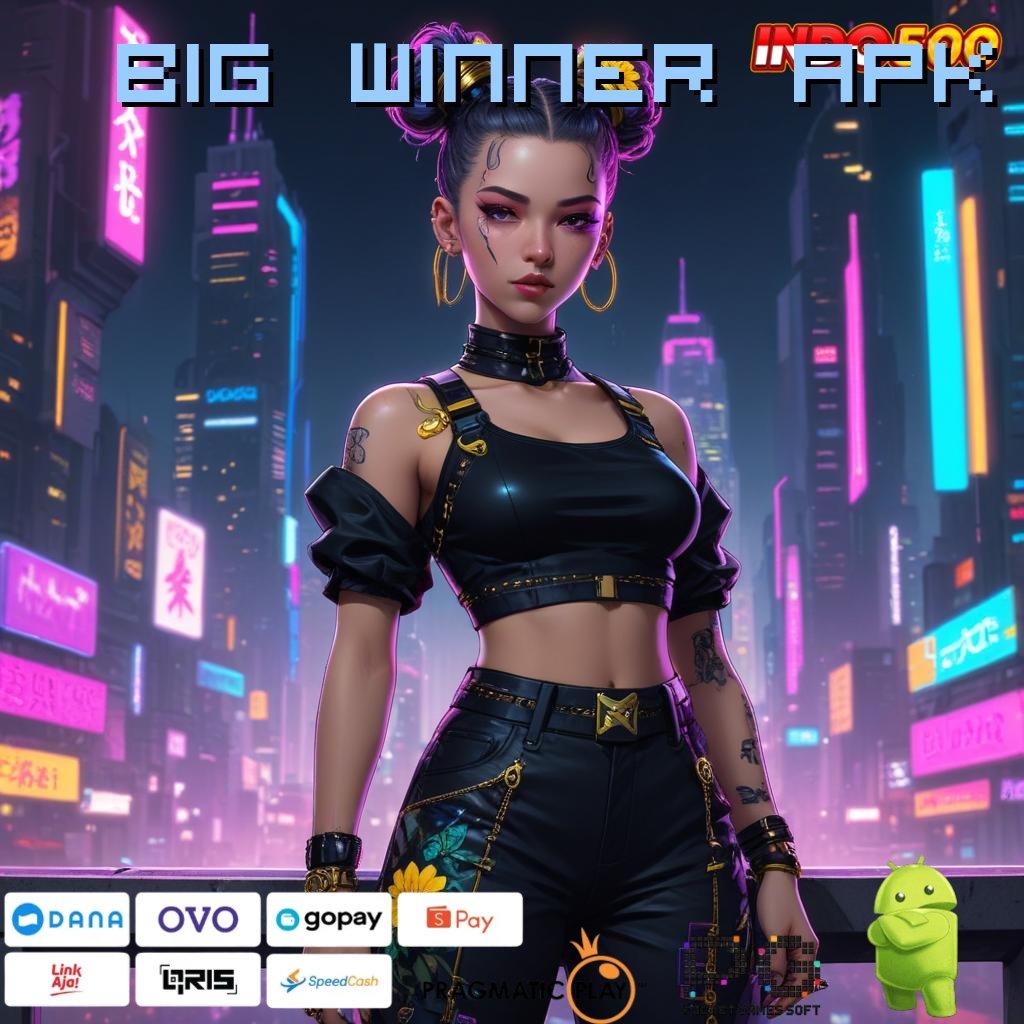 BIG WINNER APK Perantara Baru dalam Sistem Antarmuka Teknologi