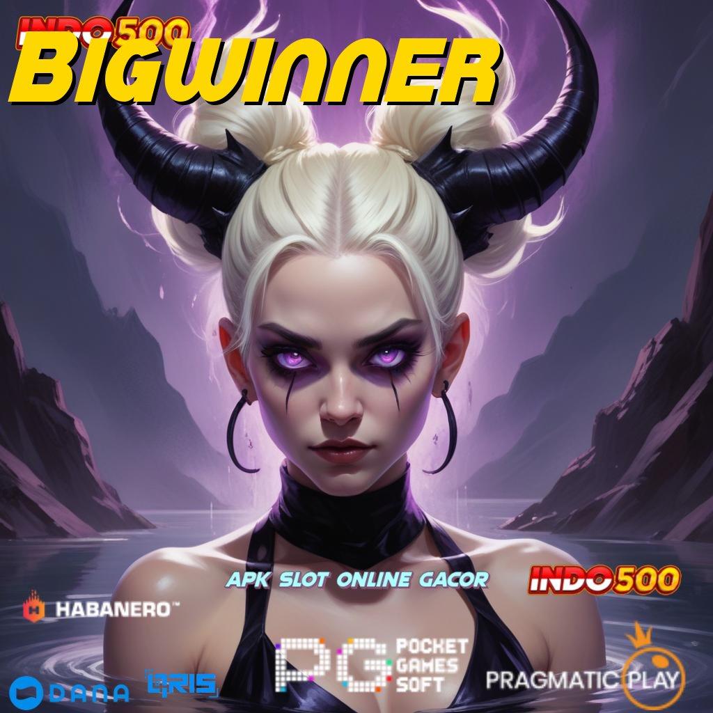 Bigwinner